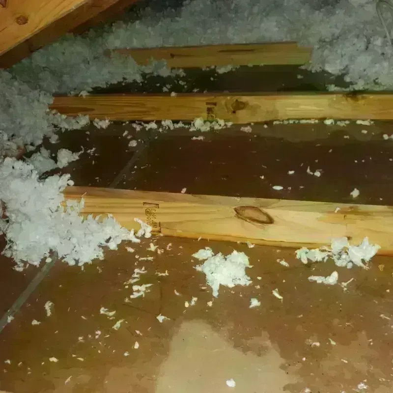 Attic Water Damage in Lago Vista, TX